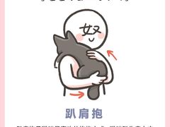 -喵百万·布偶·蓝金金渐层英短·猫舍(百子湾店)