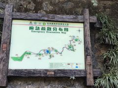 -西双版纳原始森林公园