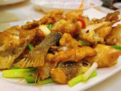 -有腥气私房菜·寻味顺德