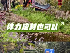 -十里琅珰