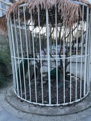 -造物庄园 萌宠纪(苏州湾歌林公园店)