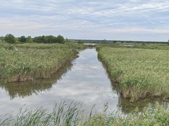 -盐城丹顶鹤湿地生态旅游区