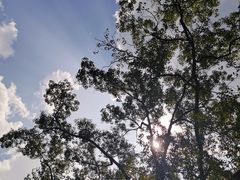 -田心森林公园