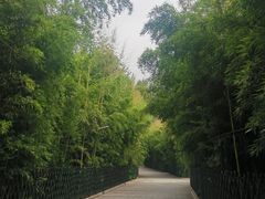 -红螺寺