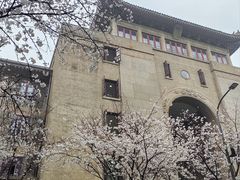 -武汉大学-樱园