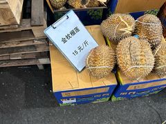 -西郊国际农产品交易中心