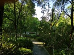 -红花湖景区