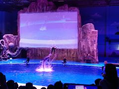 -华夏文旅海洋公园