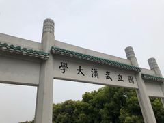 -武汉大学-樱园
