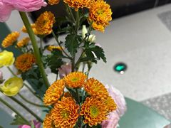 -南堂馆·新川菜(春熙路店)