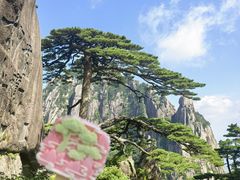 -黄山白云宾馆