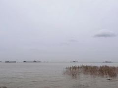 -上海滨江森林公园