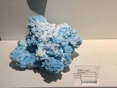 -一斗火锅·招财羊毛肚(北温泉九号店)