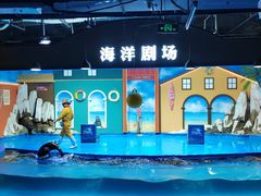 -重庆欢乐海底世界