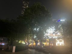 -南京金陵饭店