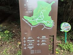 -上海佘山国家森林公园天马山园
