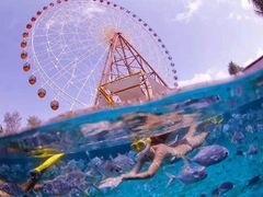 -三亚海昌梦幻海洋不夜城