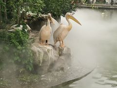 -成都动物园