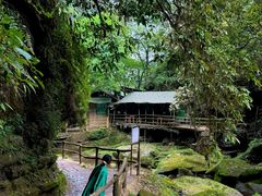 -碧峰峡风景区