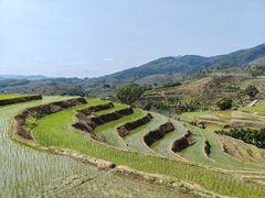 -牙胡梯田