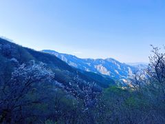 -阳台山自然风景区