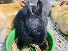 -三旗百汇商品城