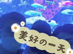 -青岛海底世界-水族馆