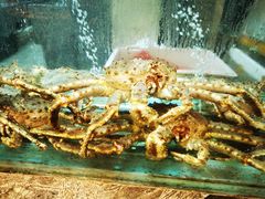 -海逸海鲜酒家(古北店)