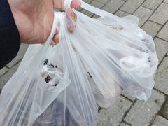 -老杨家熟食店