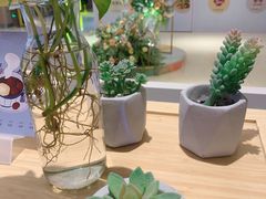 -炖物24章·顺时轻养茶(黄龙店)