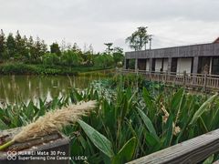 -上海长兴岛郊野公园