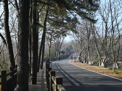 -游子山休闲旅游区