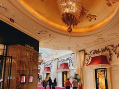 -拉斯维加斯永利酒店