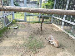-水绘园