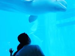 -海合安成都极地海洋公园