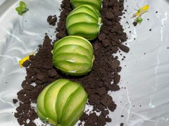 -古仓餐厅·创意菜