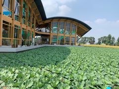 -中国天府农业博览园