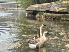 -北京中信金陵酒店