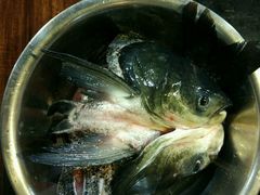 -好灶头妈妈菜·柴火灶台鱼·千岛湖土菜地标美食