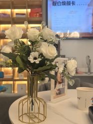 -AiCure 埃可儿·韩国医学皮肤管理