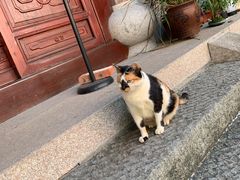 -韬光茶庵