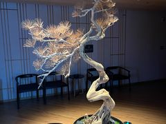 -北方暖暖温泉洗浴(沈阳北站店)