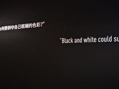 -成都当代美术馆