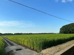 -嘉北郊野公园