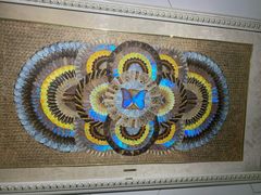 -上海昆虫博物馆