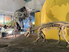 -湖南省地质博物馆