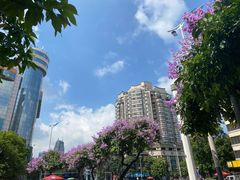 -佛山市中医院(院本部)