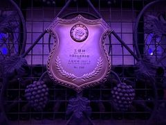 -北京张裕爱斐堡酒庄