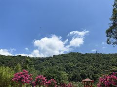 -东莞观音山旅游风景区