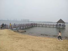 -瑶湖郊野森林公园